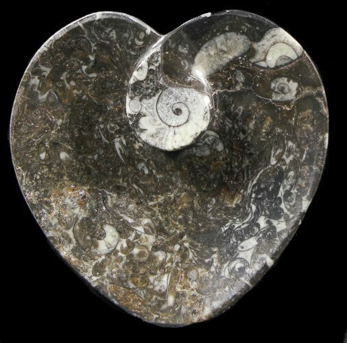 Heart Shaped Fossil Goniatite Dish #39375